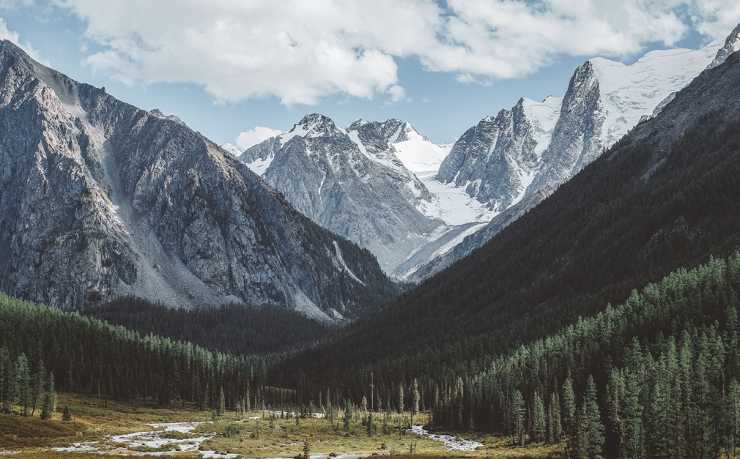 2026年世界杯预选赛在哪看？免费观看APP推荐